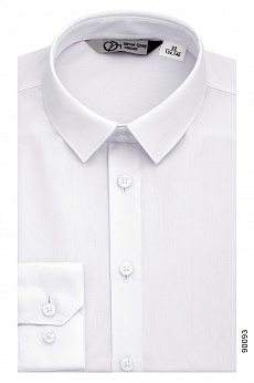 Рубашка для мальчиков ELIZ 