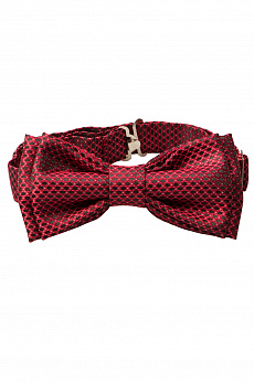 Бабочка мужская 